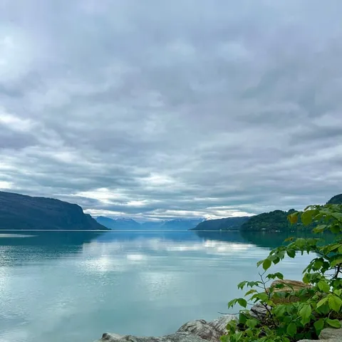 The Hardangerfjord from its wooded shore