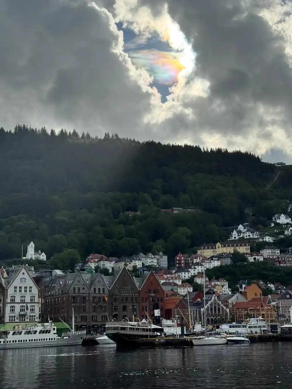Bergen waterfront and the Bryggen houses seen from above