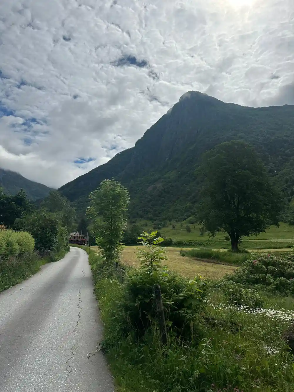 a lane running between hayfields towards a wooded peak