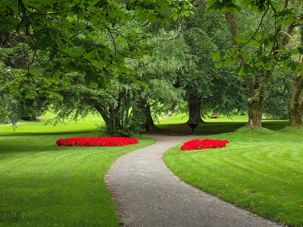 a manicured path through the manor gardens with red flower beds