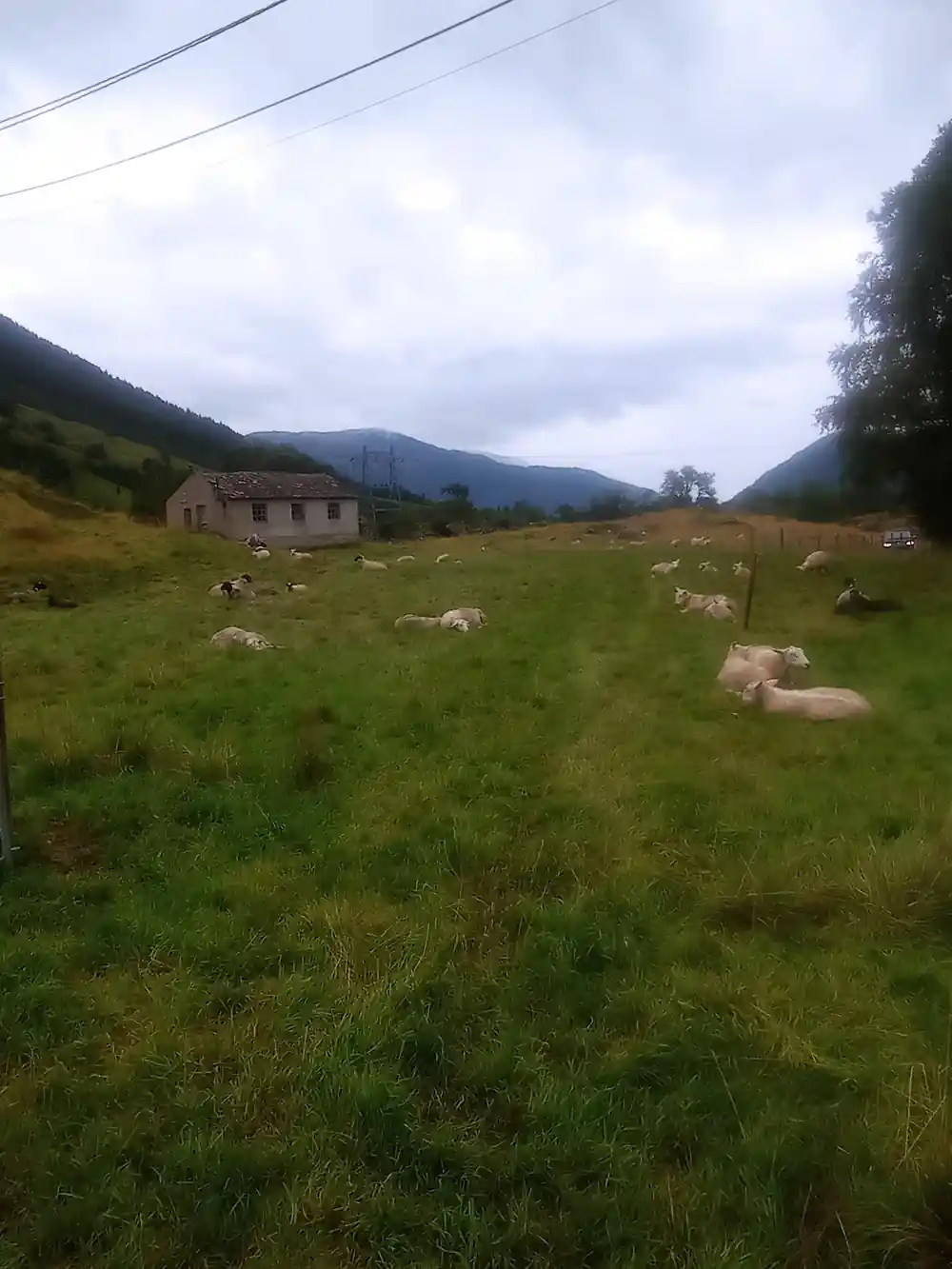 an old stone building in a sheep pasture below the mountains