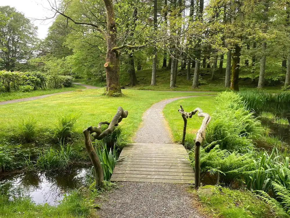 a plank bridge on a woodland path through the manor grounds