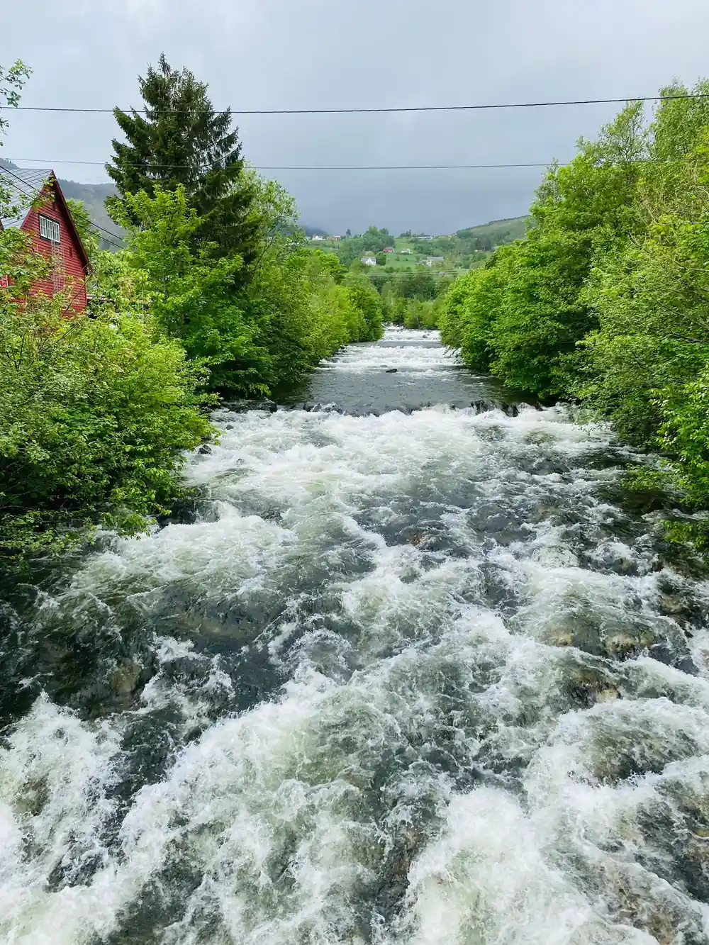 a river in full spate rushing through summer greenery