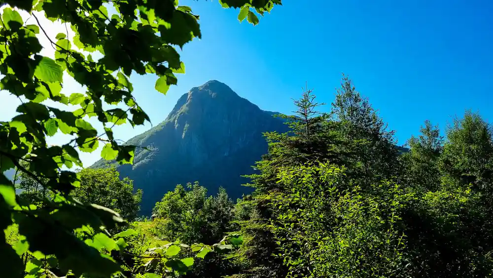 a sharp peak framed by summer foliage above Rosendal