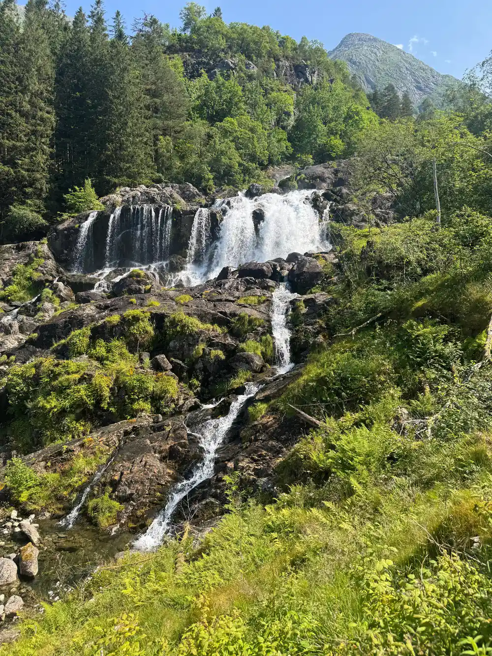 a tall multi-stage waterfall pouring down a wooded gorge