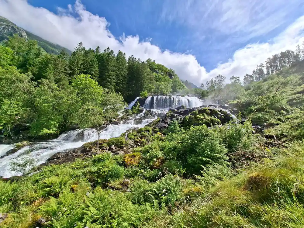 a waterfall coming down between trees under a bright cloudy sky