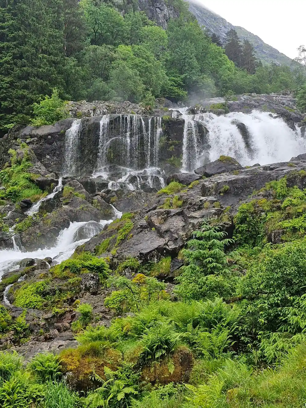 a wide fan of water dropping over dark rock into ferns